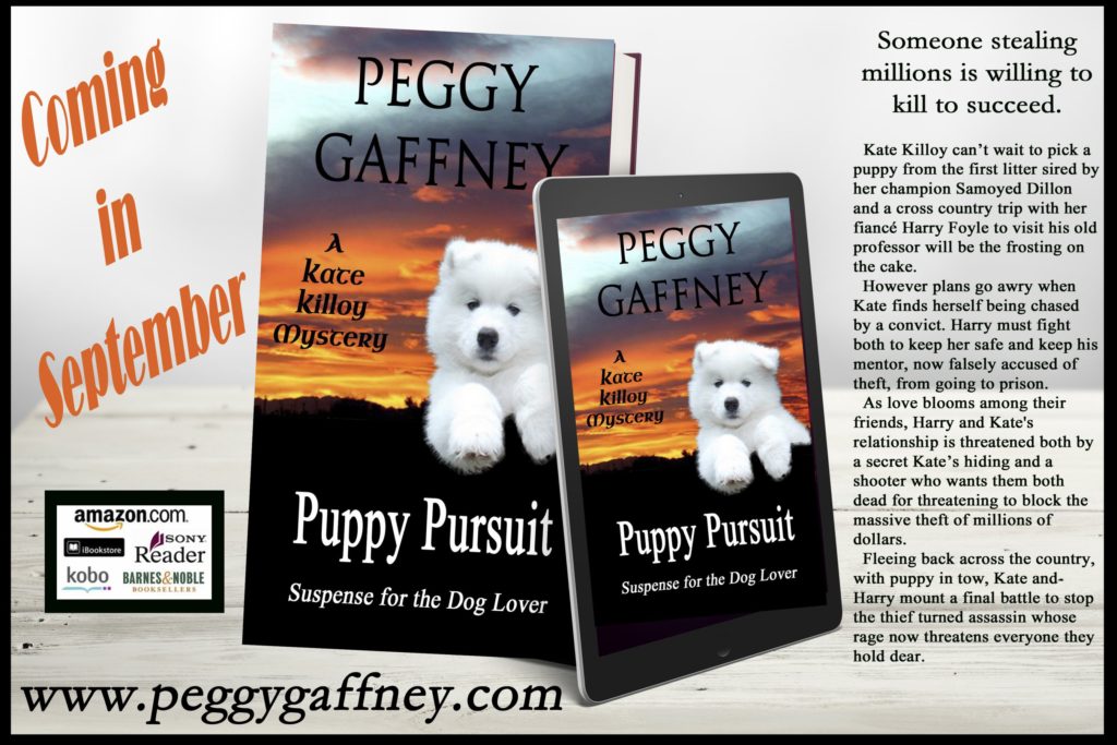 NL1-6X9-Hardcover-Book-Ereader-COVERVAULT - Puppy Pursuit-3 - Book announcement - Coming in Sept-2 - smaller