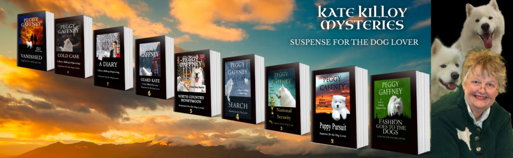 Graphic showing all nine books in the Kate Killoy Mystery series.
